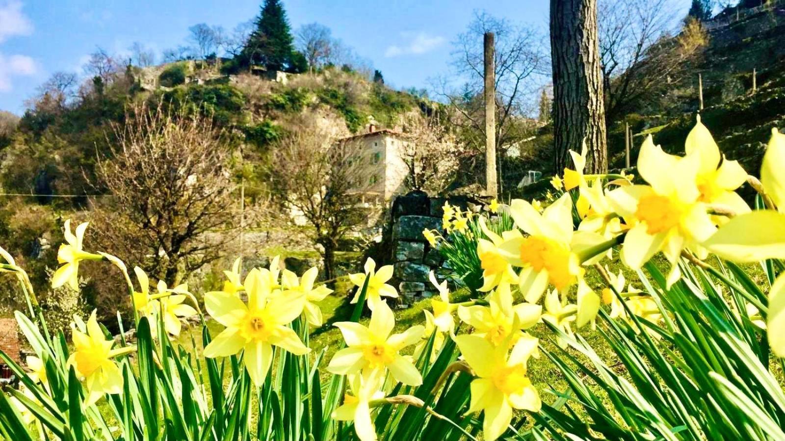 La Casa Sulla Collina Del Castello Villa เบรโน ภายนอก รูปภาพ